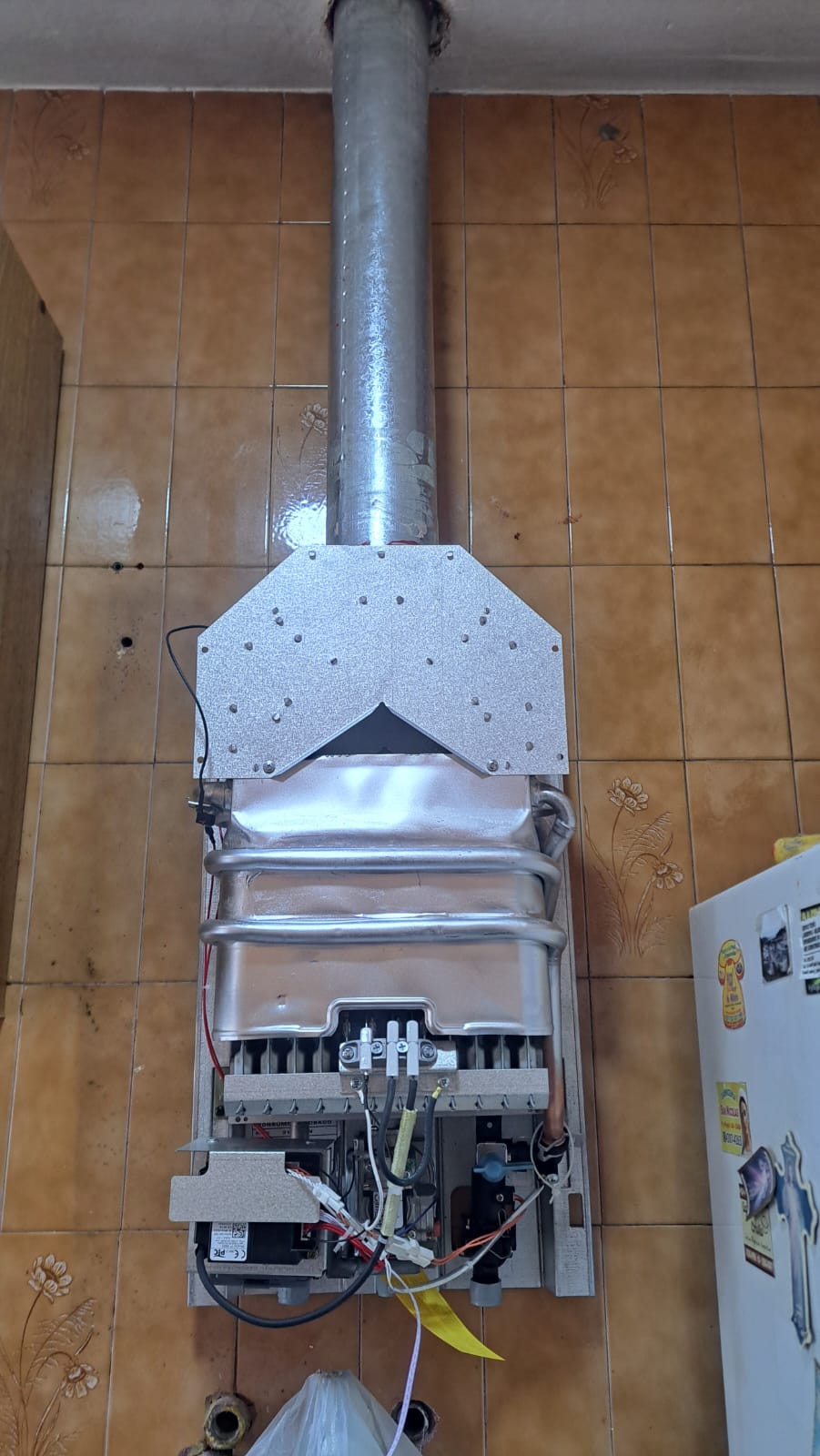 Trabajo de GOPLARG