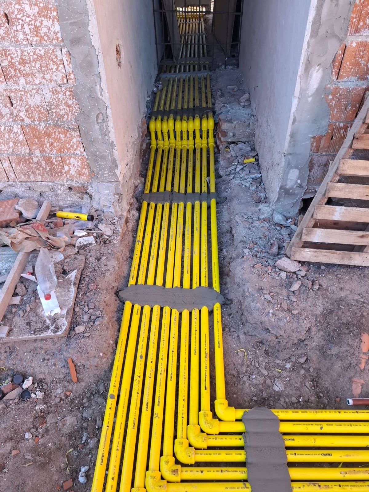 Trabajo de GOPLARG