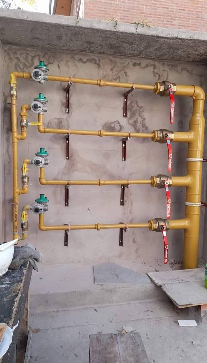 Trabajo de GOPLARG